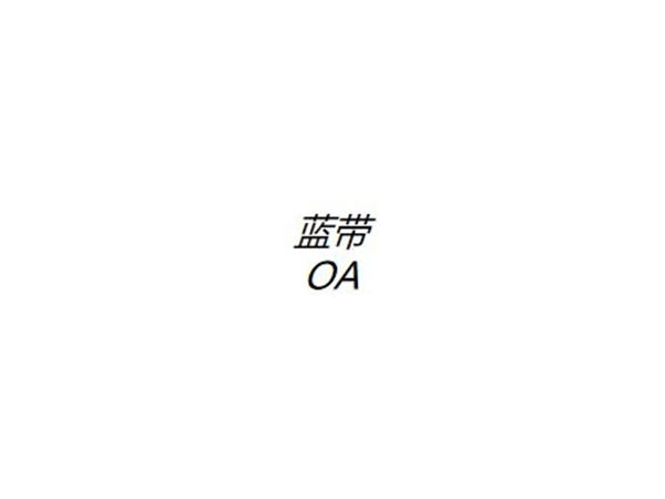 藍帶OA系統(tǒng)